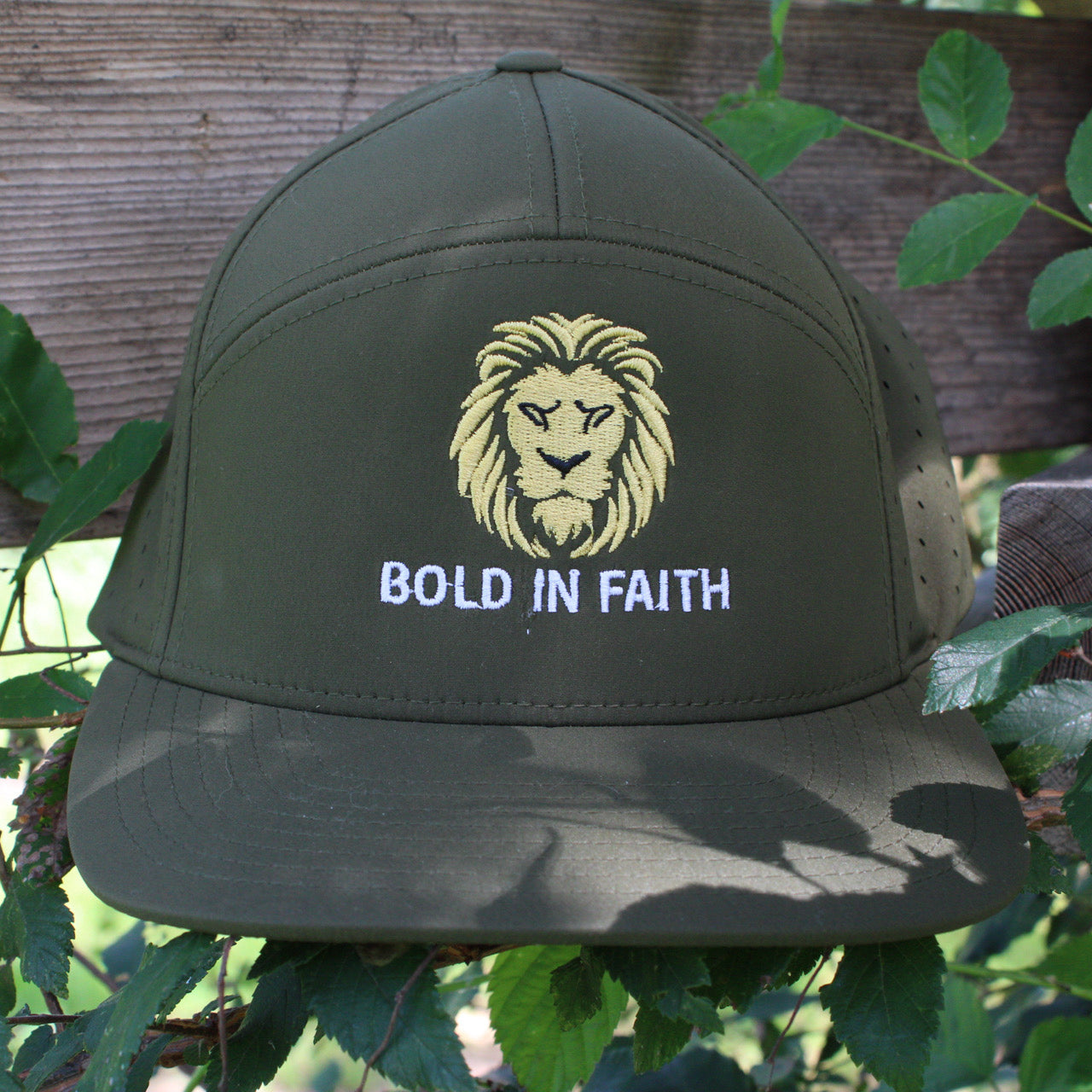 The Lion